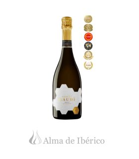 Cava Hill Panot Gaudi Riva
